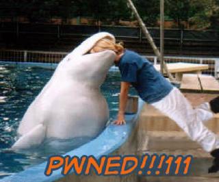 Pwned_by_whale